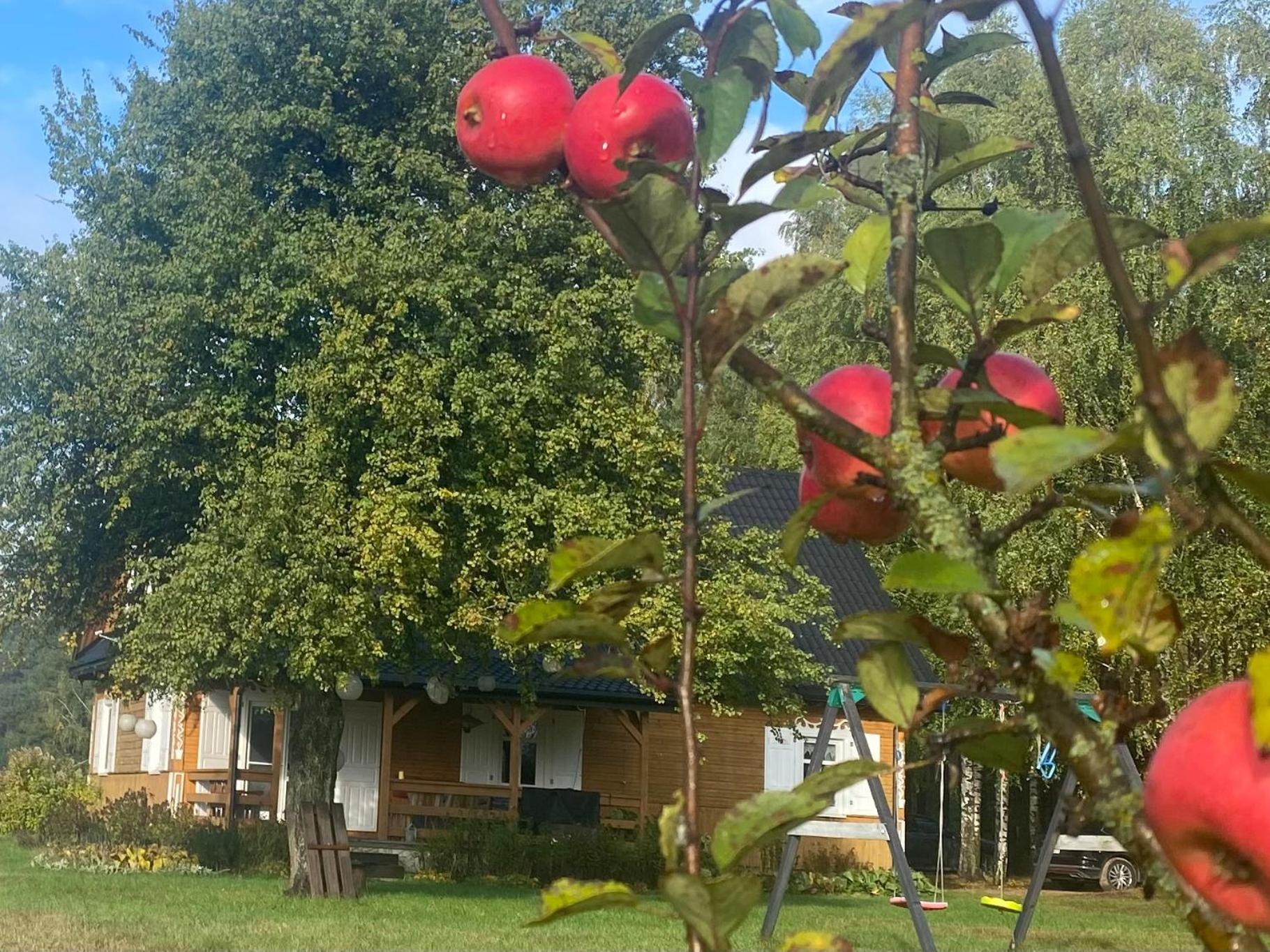 Wakacyjny Dom W Sakach Villa Kleszczele Kültér fotó